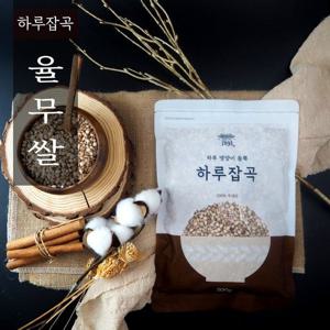 갤러리아_식탐대첩 1893 하루잡곡 국내산 율무쌀 500g