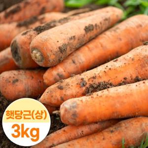 [대한민국농수산] 국내산 제주도 햇당근 (상) 3kg