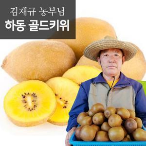 새콤달콤 제철 하동 골드키위 5kg(35-40개)(왕특)