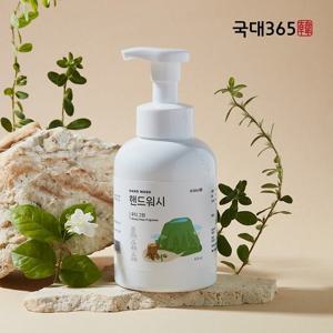 [1+1] 국대365 버블 핸드워시 손세정제 우디그린향 500ml