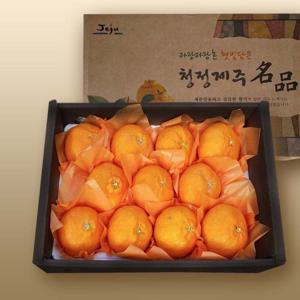 제주 레드향 3kg(중대 7-15과) 선물용