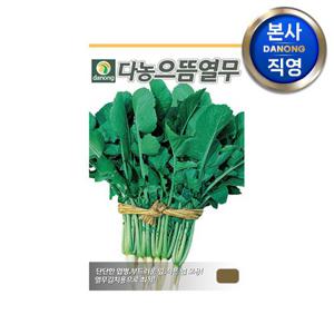 으뜸 열무 씨앗 500g . 원예 야채 채소 무우 열무김치용 텃밭 재배 씨 종자