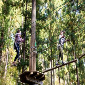 자연과 모험이 교차하는 스릴 넘치는 트리탑 액티비티 체험! [Forest Adventure Kochi]