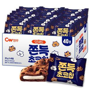 대용량 쫀득 초코칩 800g