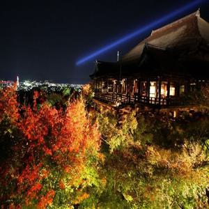 [교토] 프라이빗 투어! 행복한 가족여행