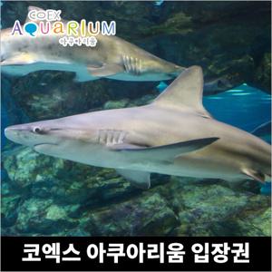 [서울]코엑스 아쿠아리움 주말/주중/대인/소인 이용권