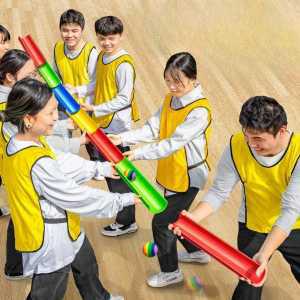 체육 대회 공 굴리기 볼 게임 야유회 용품 협동심 운동회 도구 단체 팀 수련회 컬러 축제용 액티비티 놀이