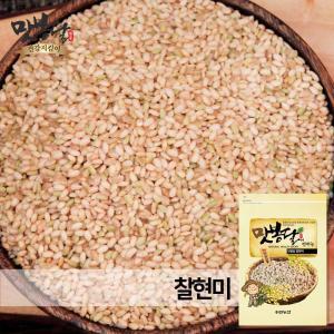 23년산 찹쌀현미 찰현미 현미찹쌀 햅찰현미 국내산 5kg