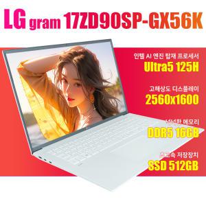 LG그램/17ZD90SP-GX56K/NVMe SSD 512GB교체/WIN11설치