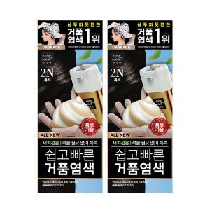 미쟝센 올뉴 쉽고빠른거품 염색약 2N흑색, 80g, 2개