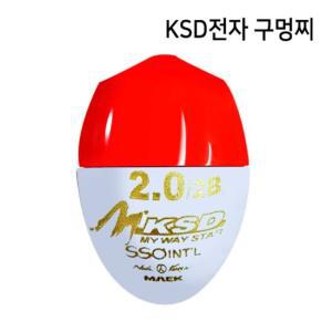 KSD 전자 구멍찌 주야 겸용 수중찌 1개