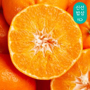 [품질보장]고당도 제주 레드향 1.5kg 2.5kg