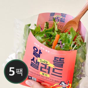 데일리 알뜰 샐러드 레드 100g x 5팩 / 간편 도시락