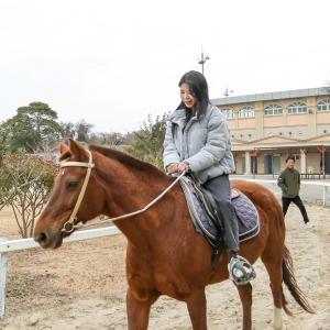 [제주] 더마파크 장거리 승마 (가볼만한곳/관광/제주투어/자유여행/가족/친구/연인/아이와함께/테마파크/이색체험/브이패스/인생샷/액티비티/레저)