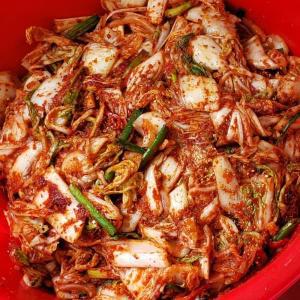 국산 맛김치 막김치 국내산 김장 김치 주문 2kg