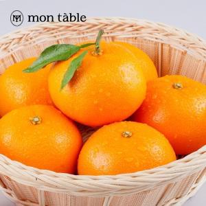 [몽테이블] 블랙라벨 제주 천혜향 2kg (중과 8-11과)