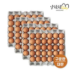 HACCP 구운란 구운계란 파손보상 대란 4판 (120구)