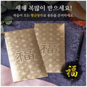 황금 세뱃돈봉투 10장(5매입X2) 명절 용돈봉투