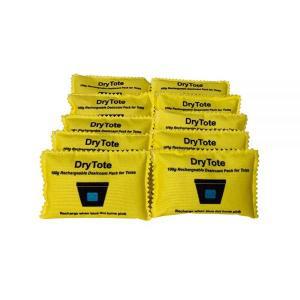 DryTote 100g 충전식 건조제 팩 10개 수분 흡수 백 보관함 토트백용 제습기