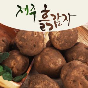 25년 수확 제주 구좌 감자 10kg(중) 제주감자