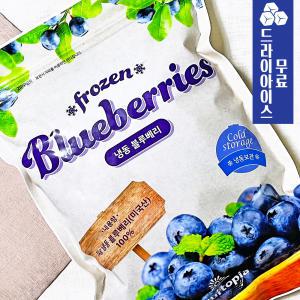 분이네 냉동 미국산 슈퍼푸드 블루베리 1kg 스무디 요거트