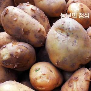 [하프클럽/]포근포근 햇감자 못난이 5kg / 130g-180g