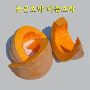 꼬레촌 늙은호박 최상품 맷돌 다듬호박 2.5kg