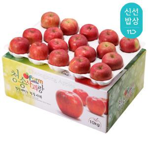 사과를 정성스럽데 담아 정품  9키로/실중량/부사/홍로 랜덤발송