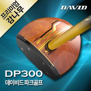 데이비드 프리미엄 파크골프채 DP300 단품 or 3종세트 선택 (가방/볼/클럽)