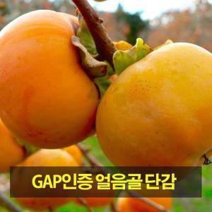 [st푸른농원][GAP인증]밀양 얼음골 단감 10kg(박스포함) 53-55과