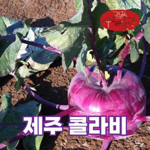 슈퍼푸드 청정 제주 콜라비 특상품 5kg