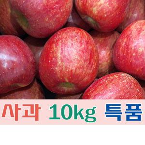 (팔공산농원) 사과(부사) 10kg 특품