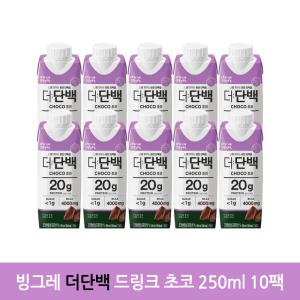 빙그레 더단백 드링크 초코 단백질 프로틴 음료 250ml 10팩