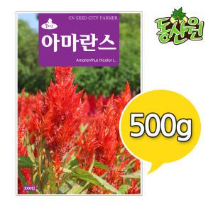 대용량 꽃씨 아마란스씨앗 500g 꽃종자