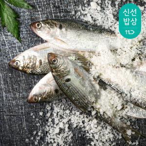 통영 자연산 남해안 구이용 전어 1kg 생선구이