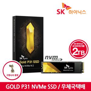 [SK하이닉스 공식스토어] SK하이닉스 Gold P31 NVMe SSD 2TB