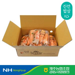 [제주농협] 햇살바람 구좌 향 세척당근  5kg 상등급