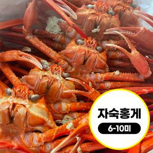 [믿고 먹는 수율보장제] 깊은바다 속초 수율보장 자숙 홍게 2.5kg