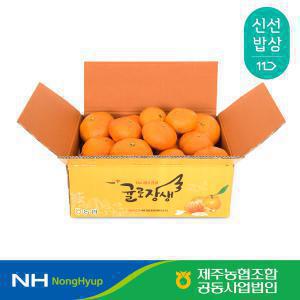 [제주농협] 귤로장생 레드향 2kg 소과(10-13입)