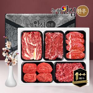 명절후발송 농협안심한우 1++ 선물세트 2kg 등심400g+채끝400g+안심400g+국거리400g+불