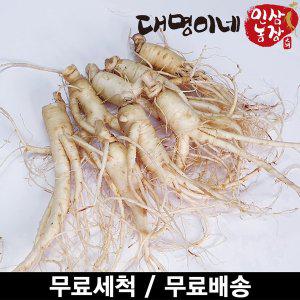 [대명이네 인삼농장](세척) 난발 8뿌리내외 250g/인삼 수삼 주스용 홍삼용 삼계탕용