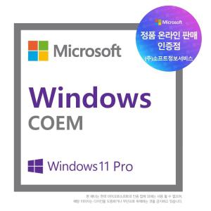 Windows 11 Pro DSP COEM 64bit 한글(+10Pro설치usb)