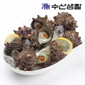 [수산생활] 거제도 해녀 자연산 뿔소라 1kg