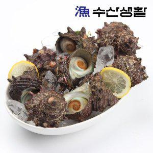 [기타][수산생활] 거제도 해녀 자연산 뿔소라 1kg