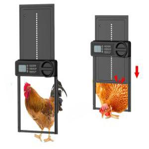 자동 닭장문 닭장 스위치 도어 타이머 개폐기 자동문 사육장 닭장자동문 셔터 문 스마트