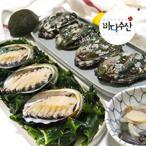 (바다수산) 완도산 싱싱 전복1kg(10~12미)