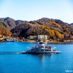 [당일][남이섬 외국인투어] Nami Island Tour - A / 남이섬 + 가평레일바이크 + 아침고요수목원 국내 추천 가족 주말 당일 힐링