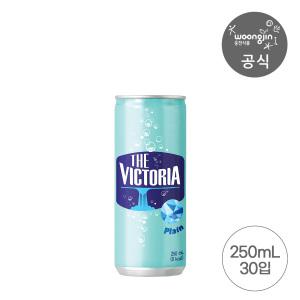 더빅토리아 탄산수 플레인 250ml 30캔