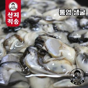 당일작업! 생굴 통영 남해 산지 각굴 깐굴 3kg