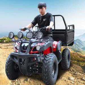 버킷 4륜 사륜 구동 ATV 오프로드 오토바이 250cc